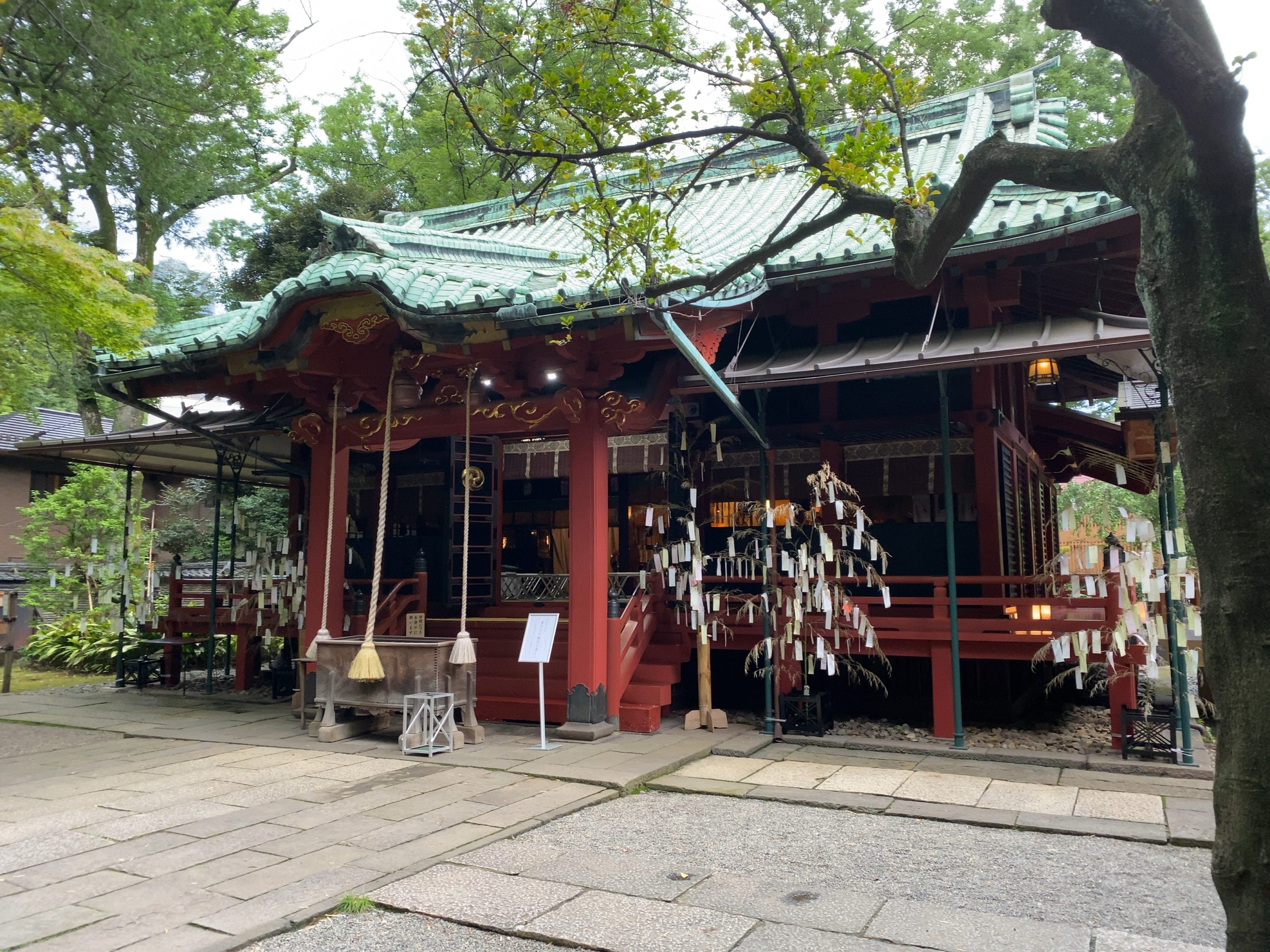 七夕の夜、星合ひの縁結びに行ってきました！（赤坂氷川神社）