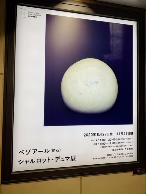ベゾアール（結石）シャルロット・デュマ展に行ってみた。（銀座メゾンエルメス）